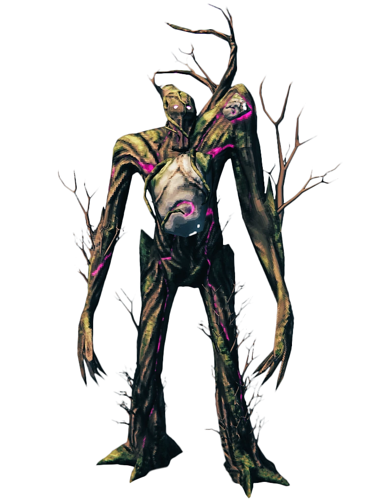 Elder